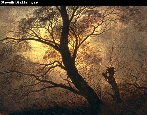 Caspar David Friedrich Trees in the moonlight